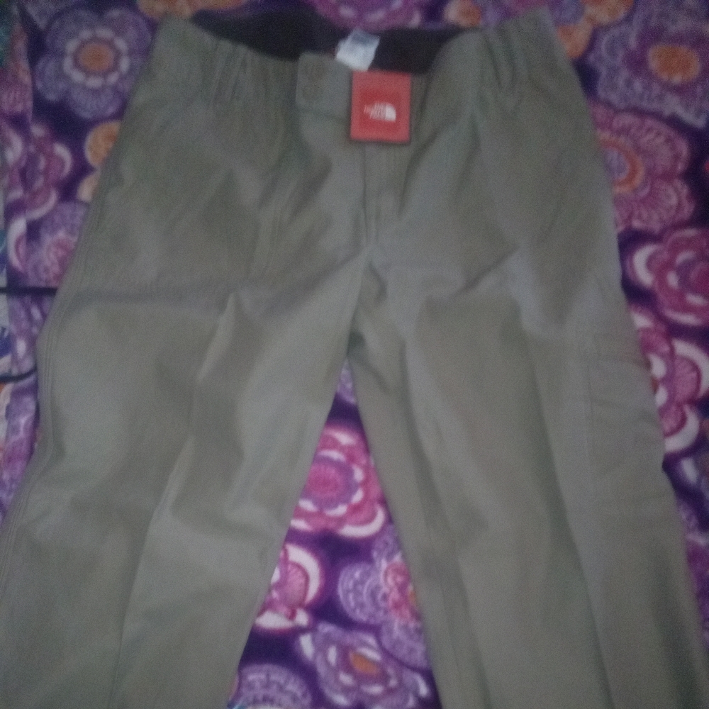The North Face Men's Olive Cargo Pants